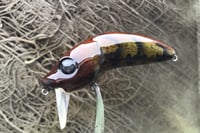 Image 8 of Custom Airbrushed Wakebait 8850