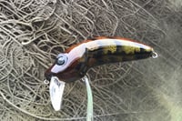 Image 11 of Custom Airbrushed Wakebait 8850