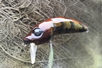 Image 10 of Custom Airbrushed Wakebait 8850