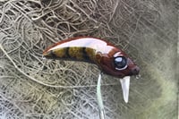 Image 7 of Custom Airbrushed Wakebait 8850