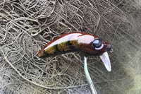 Image 9 of Custom Airbrushed Wakebait 8850