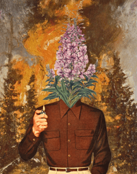 Image 2 of "Fireweed" Framed Canvas