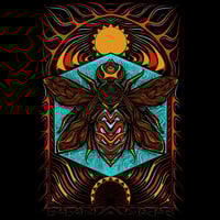 Image 10 of BEE NICE