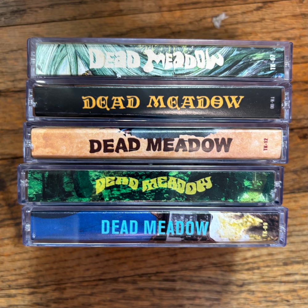 Image of Feathers Cassette