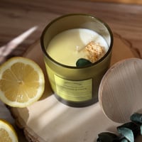 Image 2 of WELLNESS + VIGOR