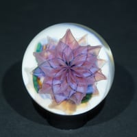 Image 1 of Moon Petal