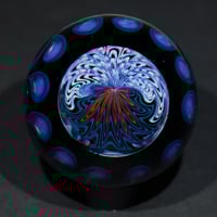 Image 8 of Double UV Linework Sunset