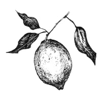 Lemon Art Print