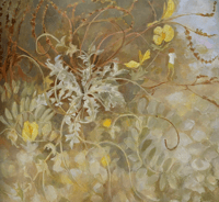 Image 5 of Where I belong by Tessa Newcomb signed copy