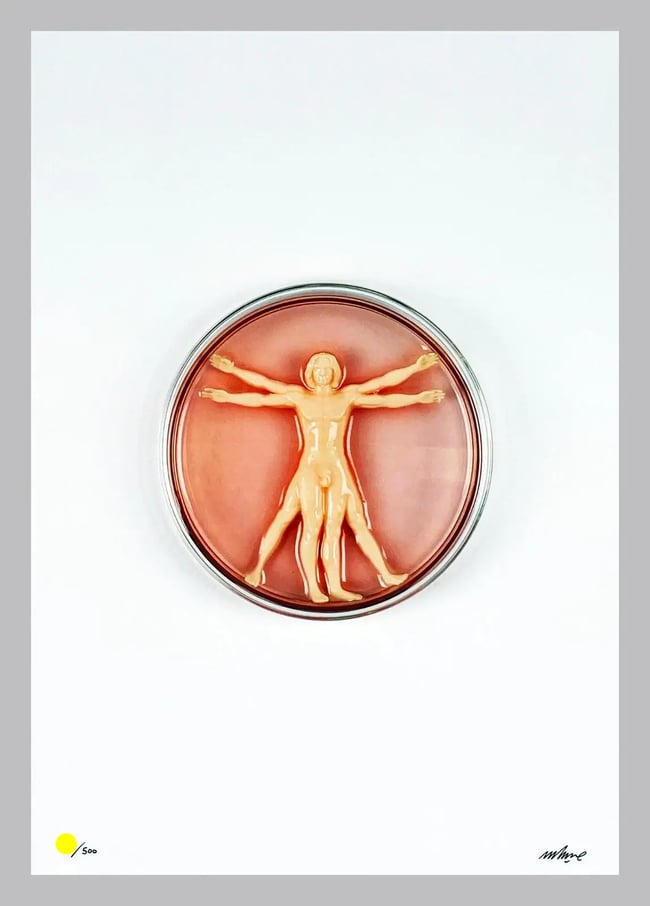 Imbue : Vitruvian Man Made Print Signée Numérotée