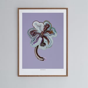 Image of Weird Flowers F138D