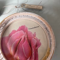 Image 5 of Effleure-moi n*1