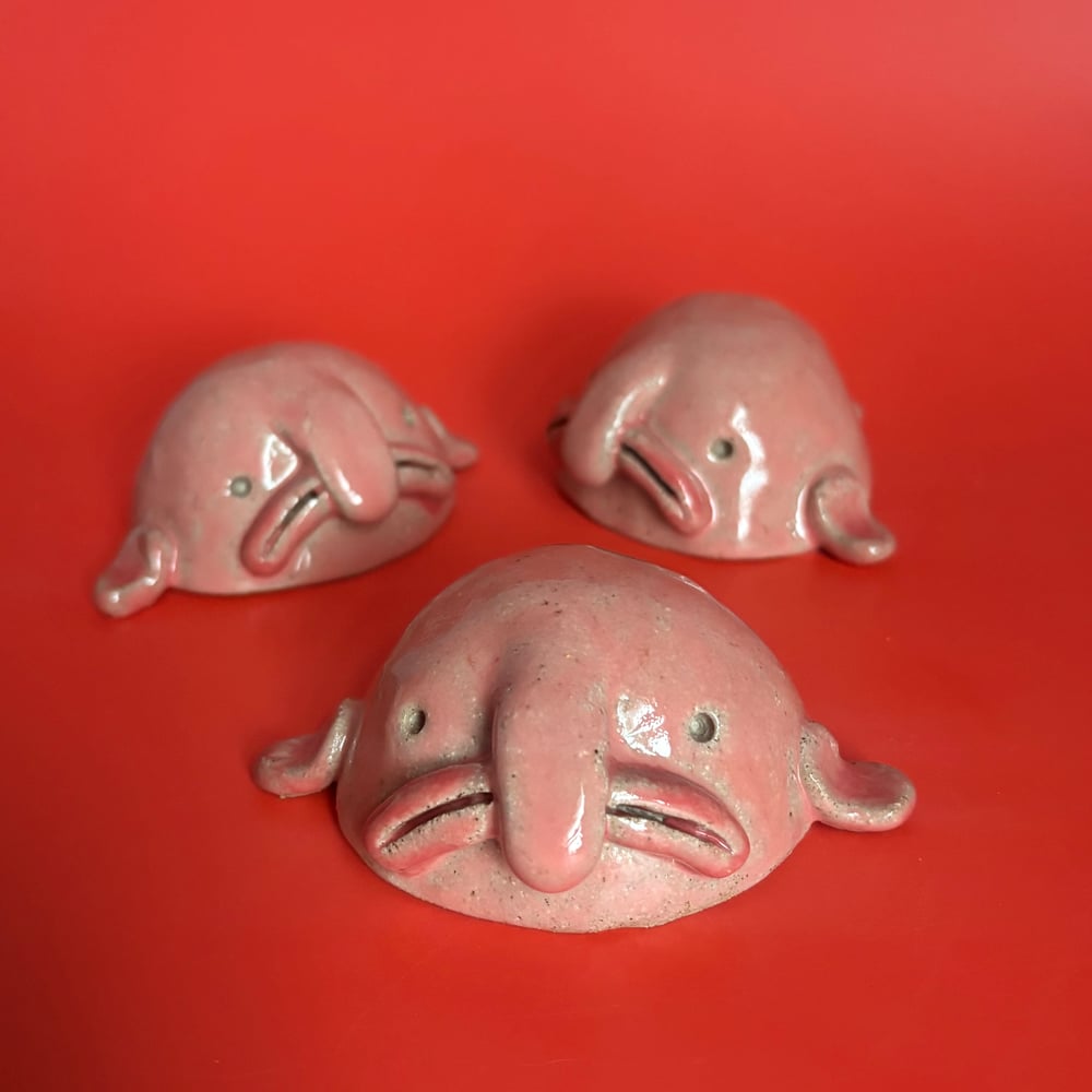 Image of Beautiful Blobfish 