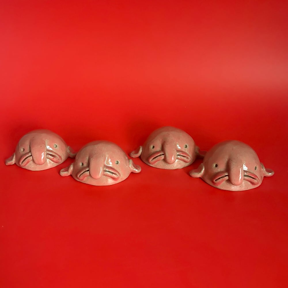 Image of Beautiful Blobfish 