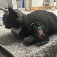 Image 3 of Dont Fear The End Demo Cassette