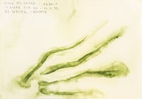 Sequere, registro de agua, 14.07.2022 #01