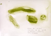 Image 1 of Sequere, registro de agua, 14.07.2022 #02