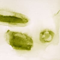 Image 2 of Sequere, registro de agua, 14.07.2022 #02