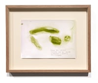 Image 3 of Sequere, registro de agua, 14.07.2022 #02