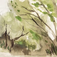 Image 2 of Sequere, registro de agua, 16.06.2022 #01