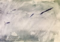 Sequere, registro de agua, 13.06.2022 #01