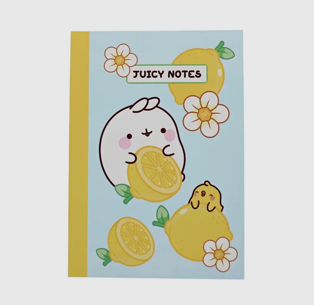 Image of Molang Fruits Notebook 🍓🍒🍌