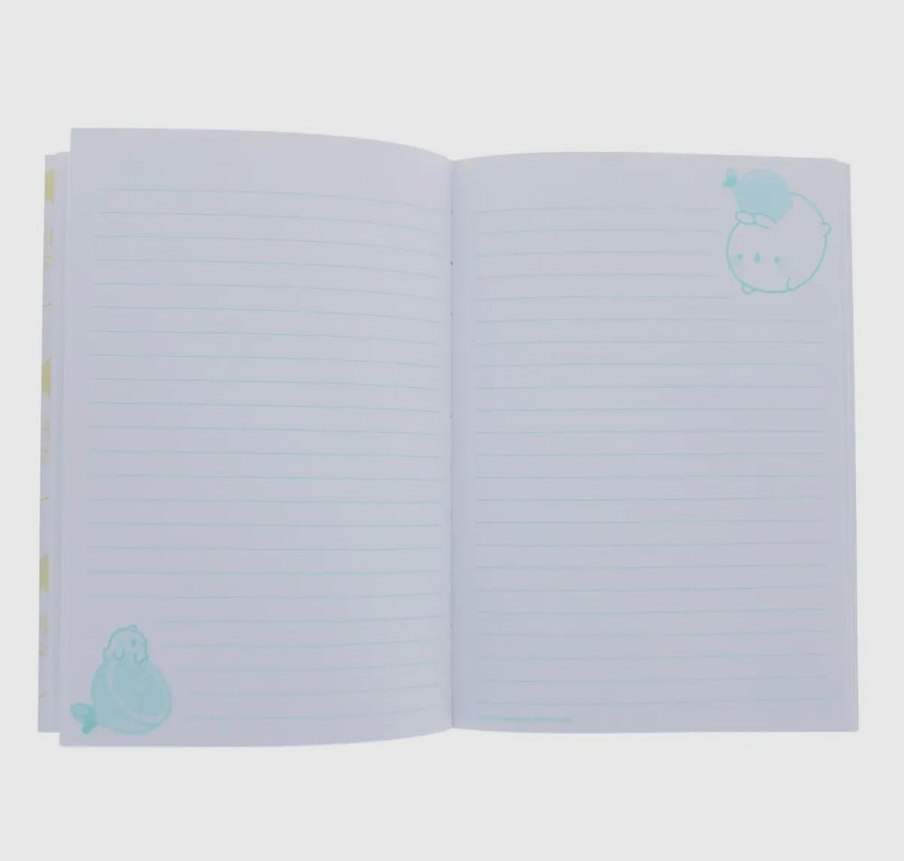 Image of Molang Fruits Notebook 🍓🍒🍌