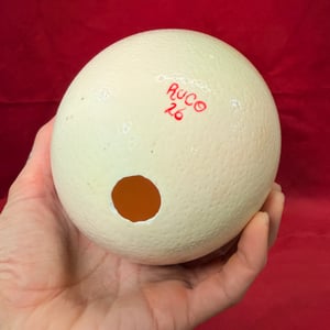 Image of Painted Ostrich Egg on Pedestal 1