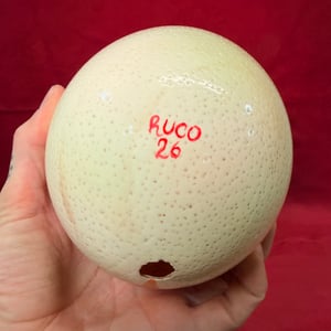 Image of Painted Ostrich Egg on Pedestal 2
