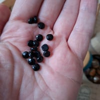 Image 7 of Lovely Collection of Little Boxes With Buttons