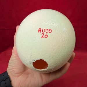 Image of Painted Ostrich Egg on Pedestal 3