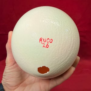 Image of Painted Ostrich Egg on Pedestal 4