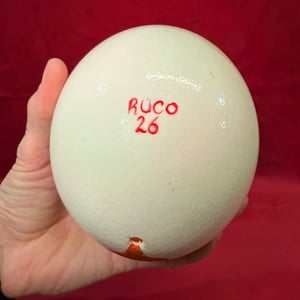 Image of Painted Ostrich Egg on Pedestal 5