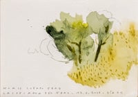 Image 1 of Cuerpo Ebro, registro de agua, 17.06.2025 #02