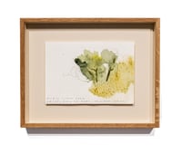 Image 2 of Cuerpo Ebro, registro de agua, 17.06.2025 #02