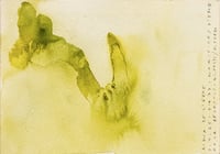 Image 1 of Cuerpo Ebro, registro de agua, 03.07.2025 #01