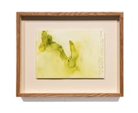 Image 2 of Cuerpo Ebro, registro de agua, 03.07.2025 #01