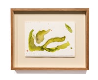 Image 2 of Cuerpo Ebro, registro de agua, 03.07.2025 #02