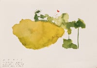 Image 1 of Cuerpo Ebro, registro de agua, 04.07.2025 #03