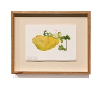 Image 2 of Cuerpo Ebro, registro de agua, 04.07.2025 #03