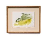 Image 2 of Cuerpo Ebro, registro de agua, 04.07.2025 #01