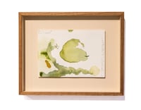 Image 2 of Cuerpo Ebro, registro de agua, 04.07.2025 #02