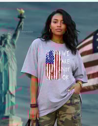 Image 2 of WE ARE NOT OK 