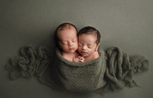 Image of Cozy / artichoke