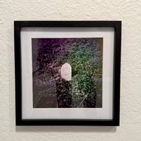 Image 2 of Bessie Lee Williams Grave by Kat Swansey - Framed Photograph