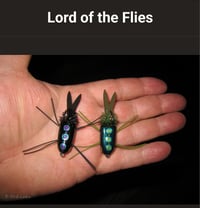 Image 10 of Liquid Fusion