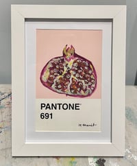 Image 2 of Pomegranate Pantone