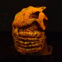 Image 4 of Double cast- infected v2 1/1