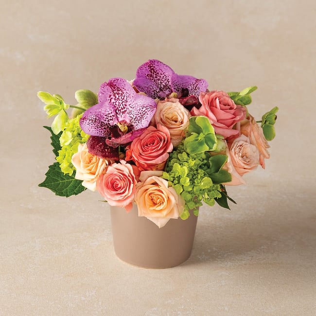 Birthday Celebration