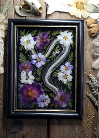 Image 1 of Snake Spine and Purple Floral Wall Frame